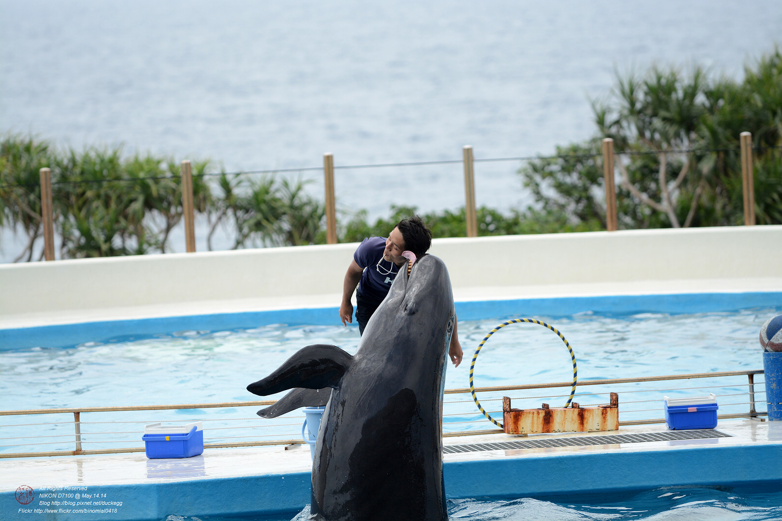 DSC_3023.jpg